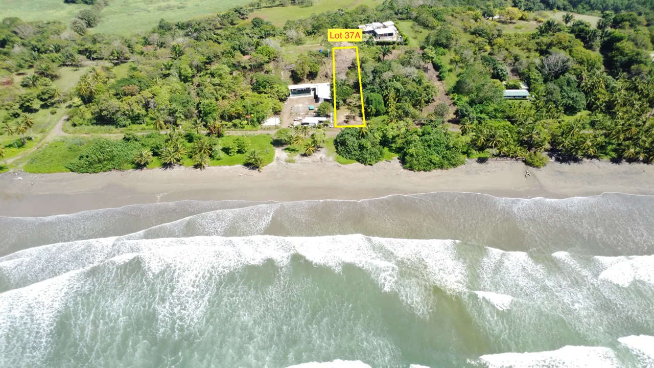 Exclusive First Line Beachfront Concession Lot in Costa de Oro