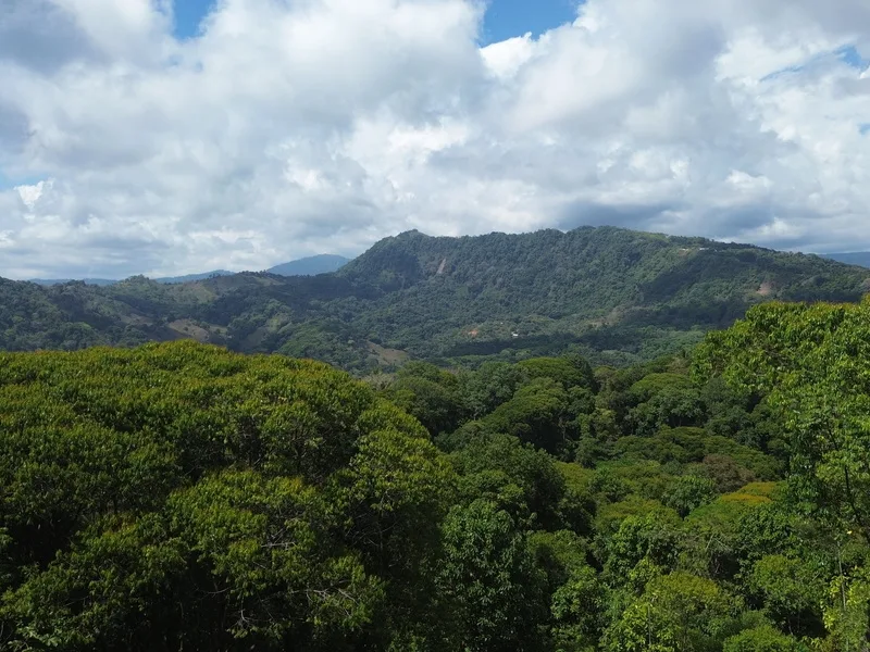 Land For Sale in Dominical, photo 2