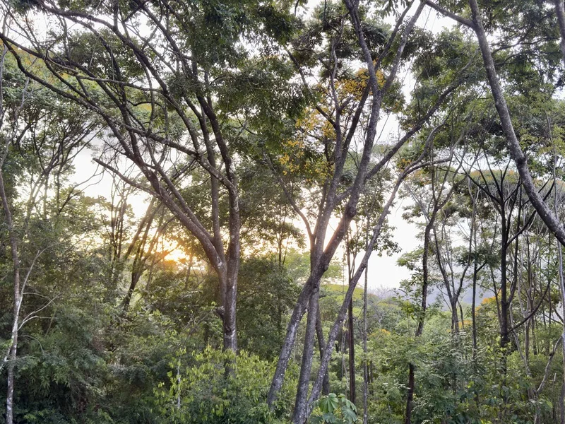 Land For Sale in Dominical, photo 11