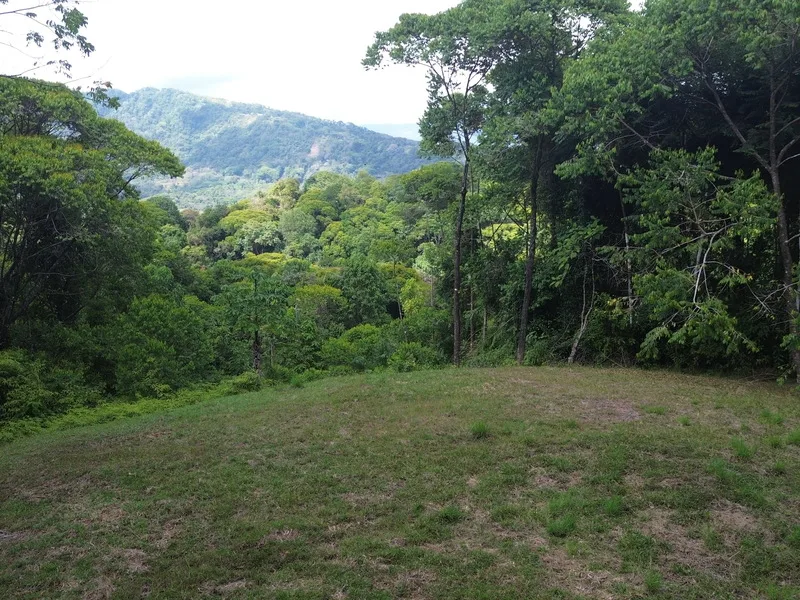 Land For Sale in Dominical, photo 3