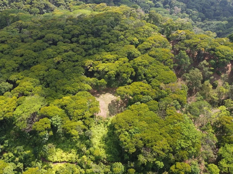Land For Sale in Dominical, photo 4