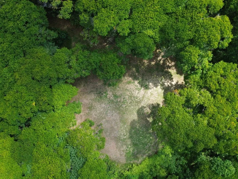 Land For Sale in Dominical, photo 5