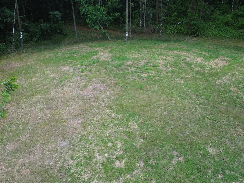 Land For Sale in Dominical, photo 6
