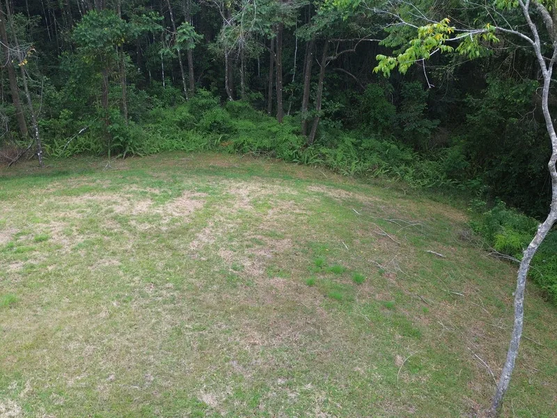 Land For Sale in Dominical, photo 7
