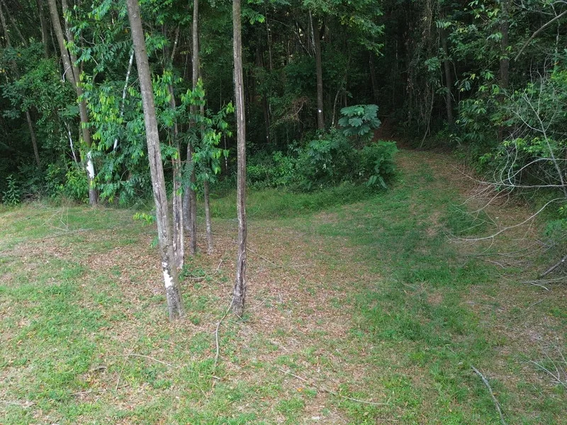 Land For Sale in Dominical, photo 8