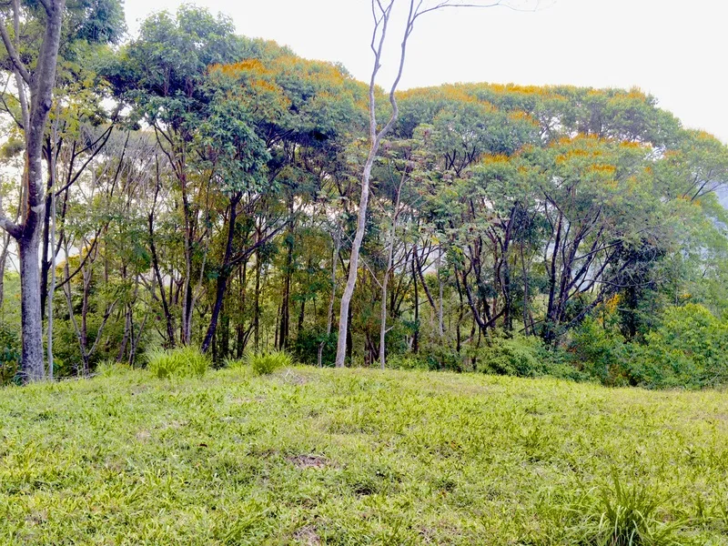 Land For Sale in Dominical, photo 9