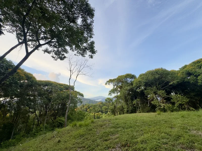 Land For Sale in Dominical, photo 10