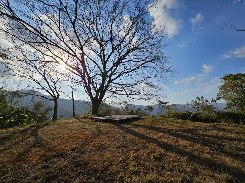 9 Bed Land For Sale in Samara, photo 15