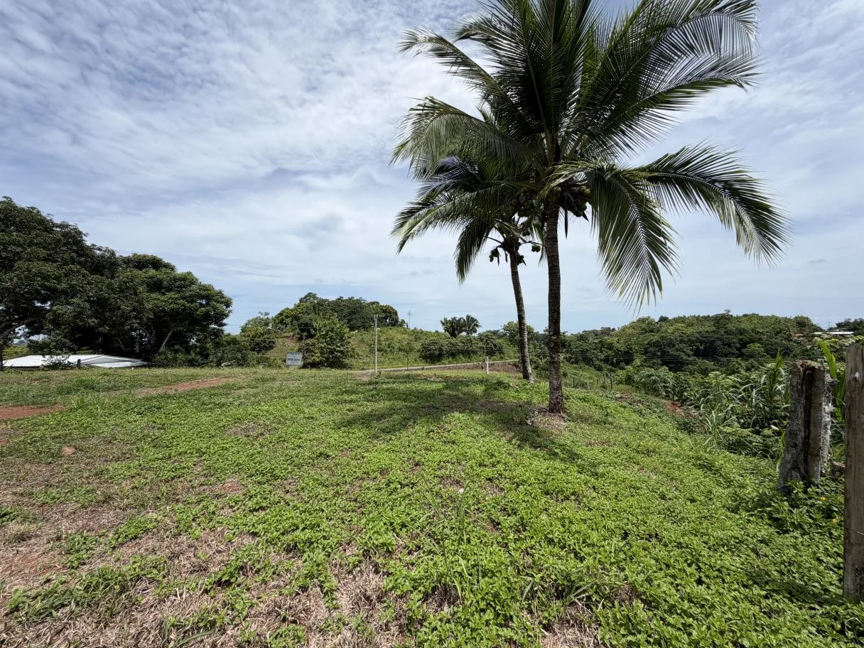 Ready-to-Build Lot with Potential Ocean View, photo 11