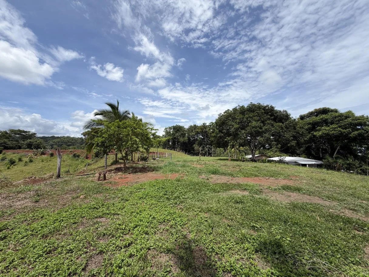 Ready-to-Build Lot with Potential Ocean View, photo 12
