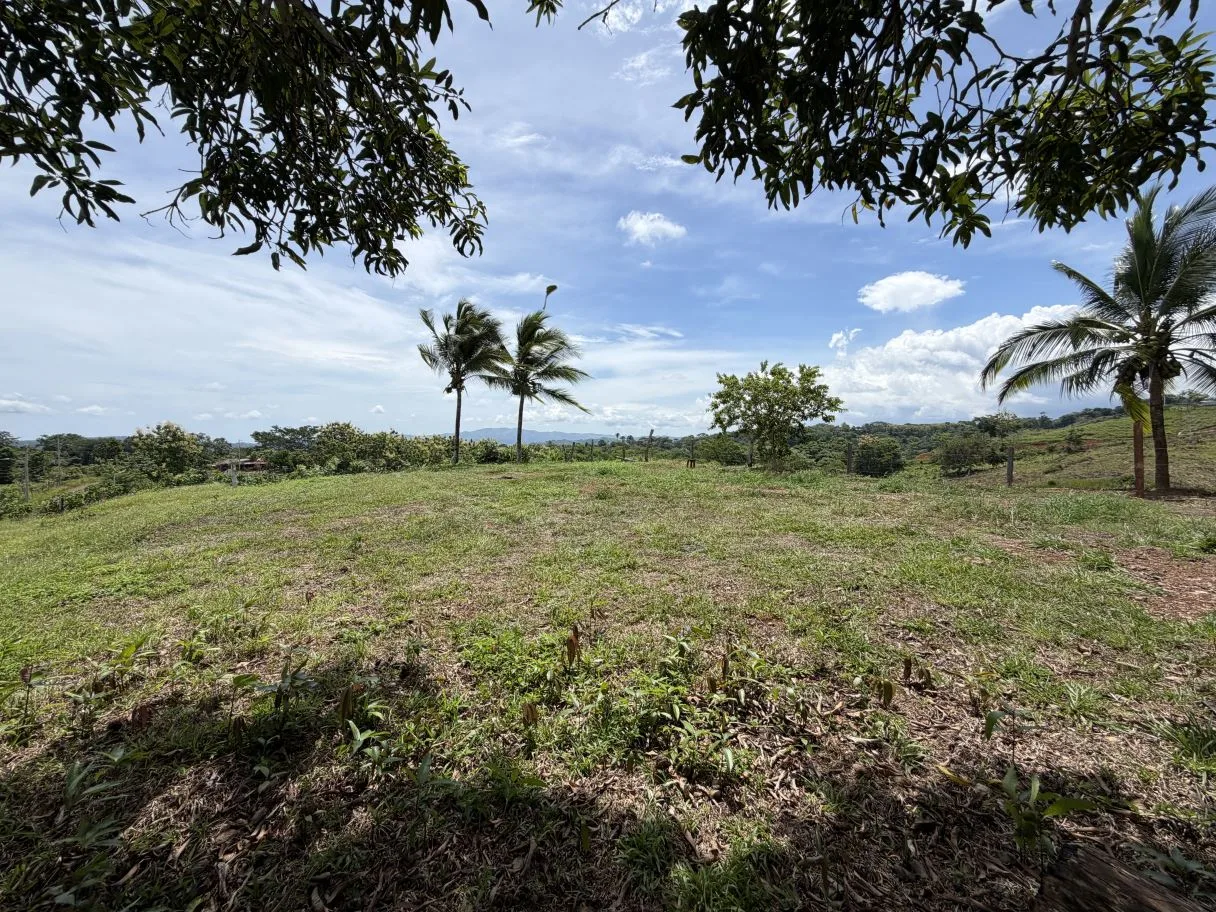 Ready-to-Build Lot with Potential Ocean View, photo 13