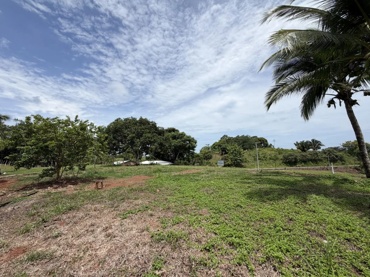 Ready-to-Build Lot with Potential Ocean View, photo 14