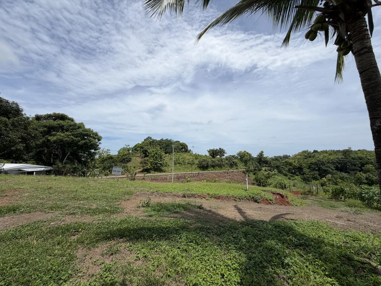 Ready-to-Build Lot with Potential Ocean View, photo 15