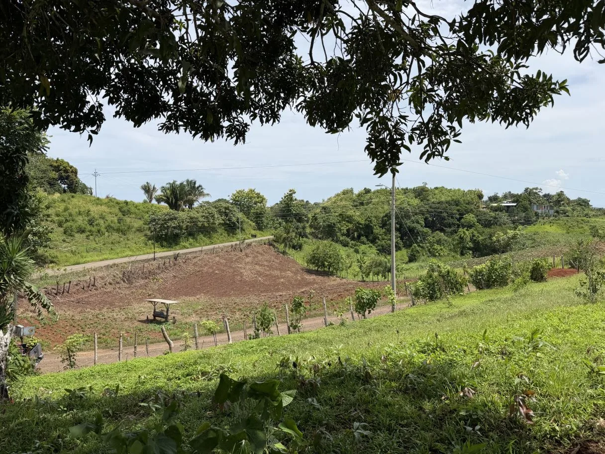 Ready-to-Build Lot with Potential Ocean View, photo 4