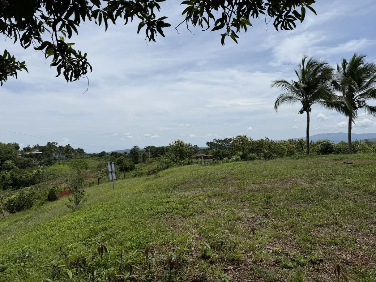 Ready-to-Build Lot with Potential Ocean View, photo 5