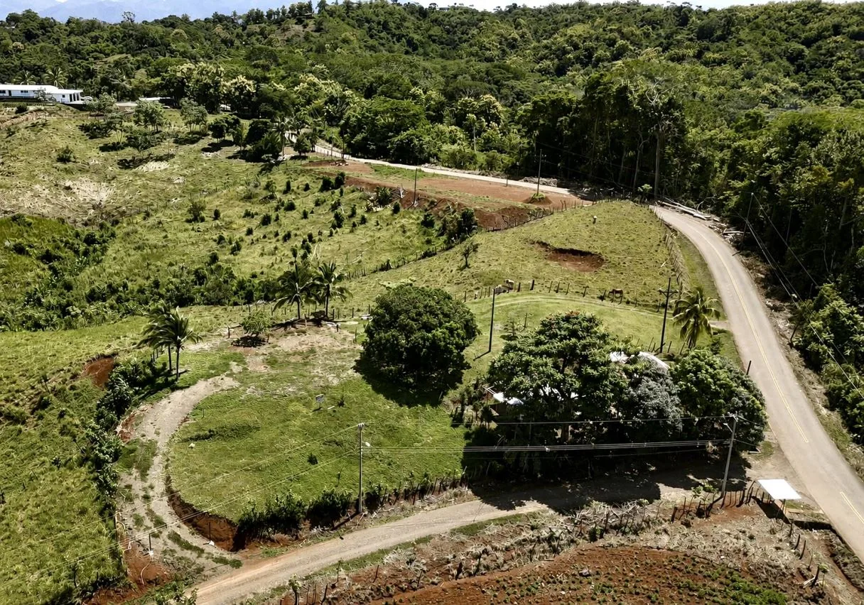 Ready-to-Build Lot with Potential Ocean View, photo 7