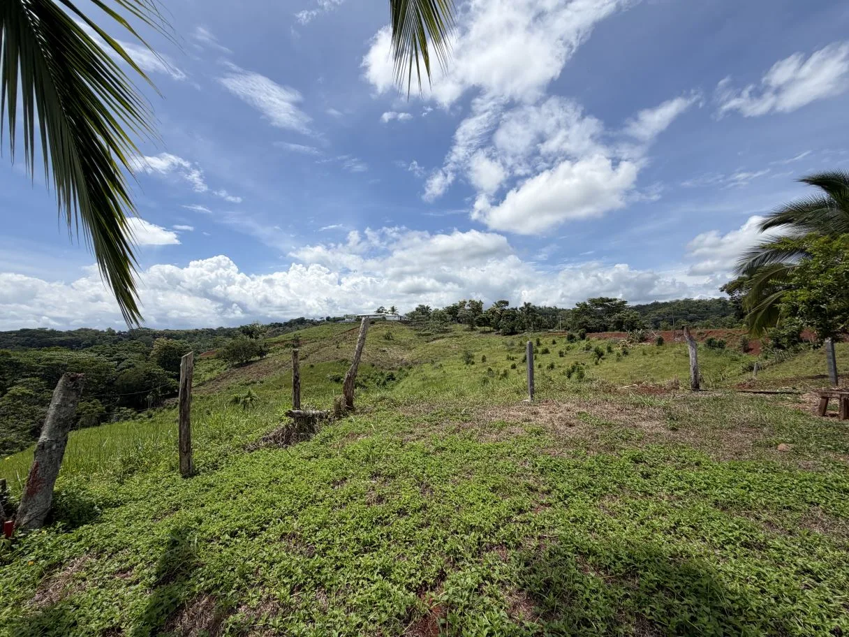 Ready-to-Build Lot with Potential Ocean View, photo 8