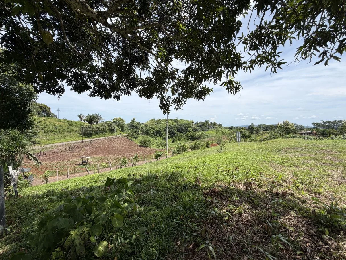 Ready-to-Build Lot with Potential Ocean View, photo 9