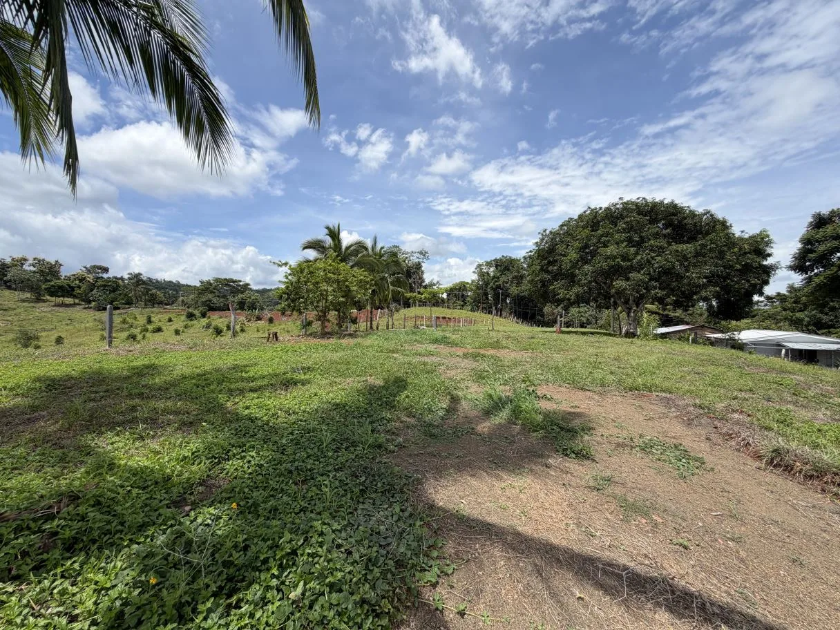 Ready-to-Build Lot with Potential Ocean View, photo 10
