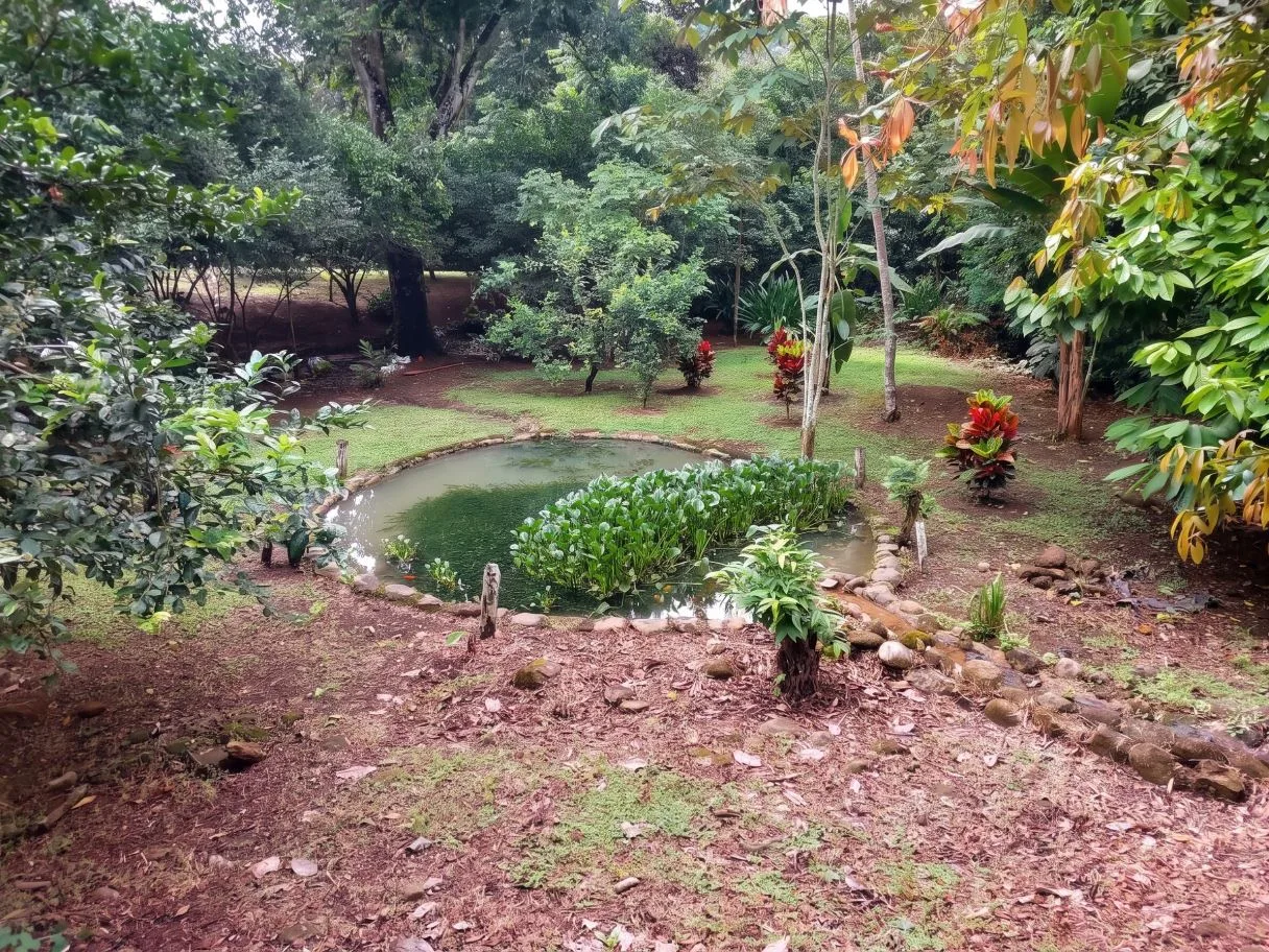 Land for Sale in Las Juntas de Pacuar: 3,576 m² Lot with Fruit Trees and Strategic Location