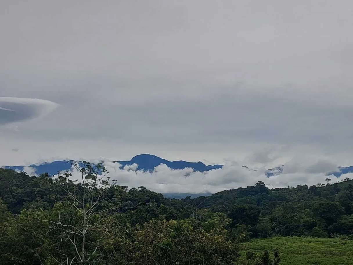 Land for Sale in Las Juntas de Pacuar: 3,576 m² Lot with Fruit Trees and Strategic Location, photo 11
