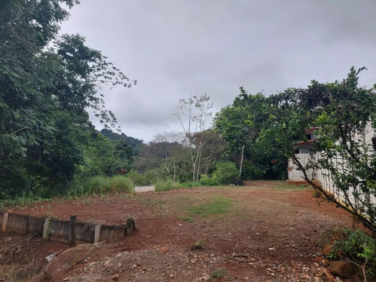 Land for Sale in Las Juntas de Pacuar: 3,576 m² Lot with Fruit Trees and Strategic Location, photo 8