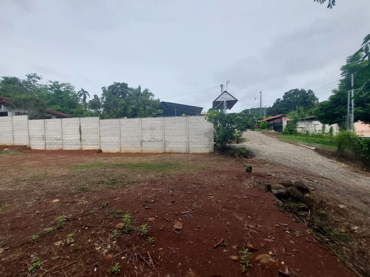 Land for Sale in Las Juntas de Pacuar: 3,576 m² Lot with Fruit Trees and Strategic Location, photo 9
