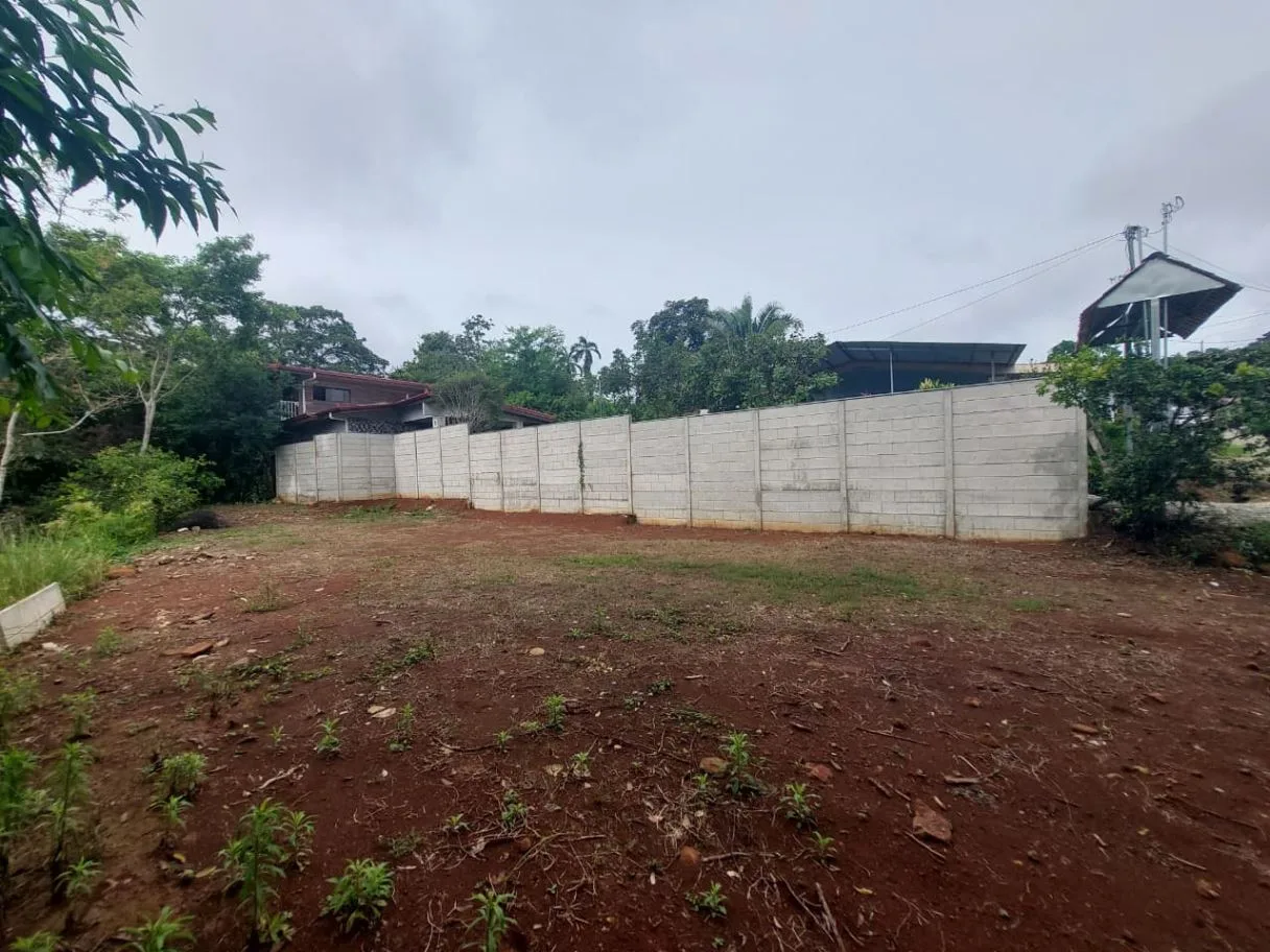 Land for Sale in Las Juntas de Pacuar: 3,576 m² Lot with Fruit Trees and Strategic Location, photo 10