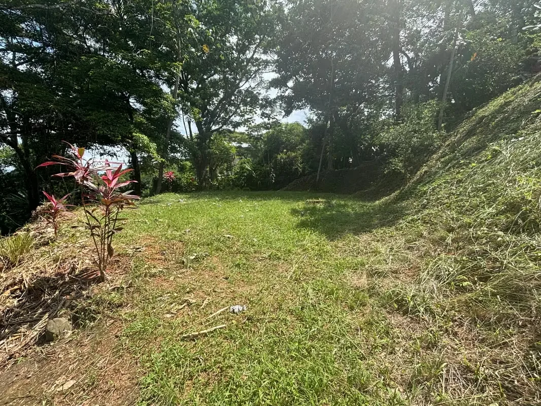 Private entrance, sea and mountain view. Water and light availability. Available for construction, close to the Carara National Park. 7 min away from Tarcoles centre and 15 min away ...