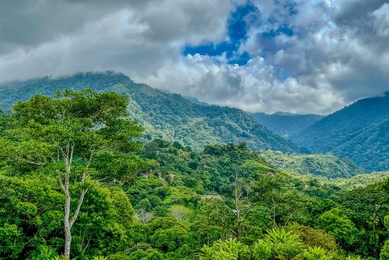 1.32 ACRES- Spectacular Ocean View In Tres Rios, Large Building Site, Legal Water And Electricity, Ready To Build & Close to Beaches!!, photo 2