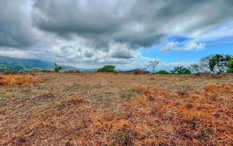 1.32 ACRES- Spectacular Ocean View In Tres Rios, Large Building Site, Legal Water And Electricity, Ready To Build & Close to Beaches!!, photo 11