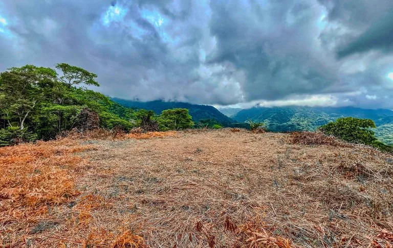 1.32 ACRES- Spectacular Ocean View In Tres Rios, Large Building Site, Legal Water And Electricity, Ready To Build & Close to Beaches!!, photo 12