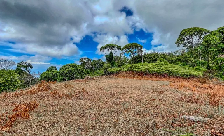 1.32 ACRES- Spectacular Ocean View In Tres Rios, Large Building Site, Legal Water And Electricity, Ready To Build & Close to Beaches!!, photo 13
