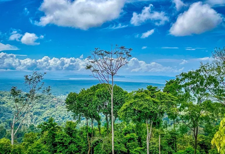 1.32 ACRES- Spectacular Ocean View In Tres Rios, Large Building Site, Legal Water And Electricity, Ready To Build & Close to Beaches!!, photo 14