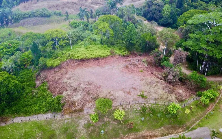 1.32 ACRES- Spectacular Ocean View In Tres Rios, Large Building Site, Legal Water And Electricity, Ready To Build & Close to Beaches!!, photo 4