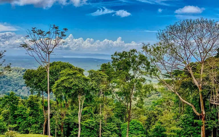 1.32 ACRES- Spectacular Ocean View In Tres Rios, Large Building Site, Legal Water And Electricity, Ready To Build & Close to Beaches!!, photo 5