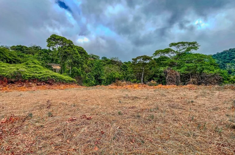 1.32 ACRES- Spectacular Ocean View In Tres Rios, Large Building Site, Legal Water And Electricity, Ready To Build & Close to Beaches!!, photo 9