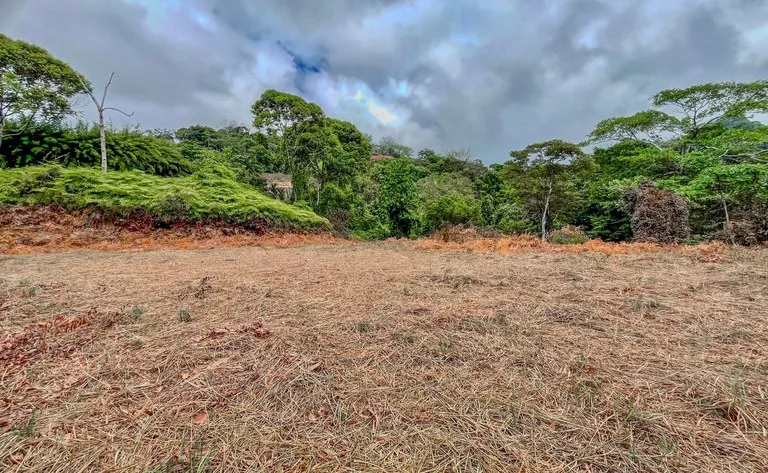 1.32 ACRES- Spectacular Ocean View In Tres Rios, Large Building Site, Legal Water And Electricity, Ready To Build & Close to Beaches!!, photo 10