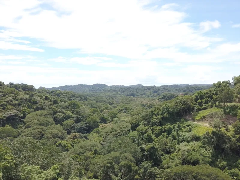 Land For Sale in Samara, photo 4