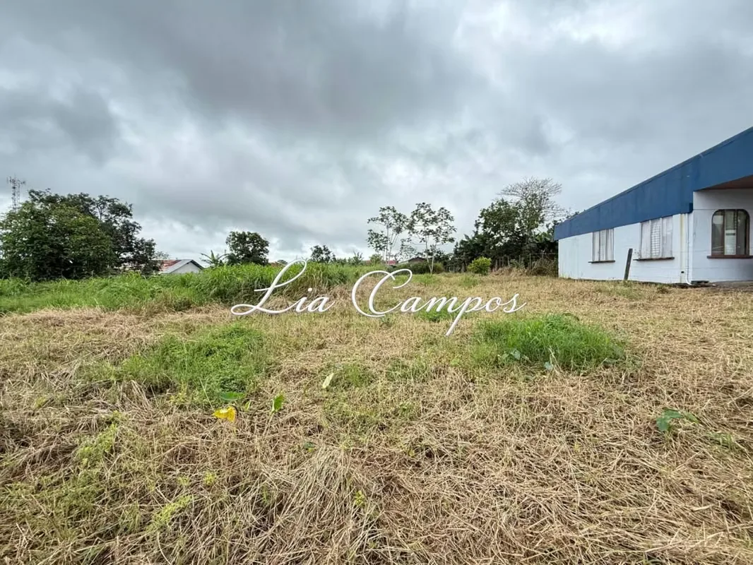 LOT FOR SALE IN DOWNTOWN FLORENCIA, SAN CARLOS | MIXED AND RESIDENTIAL LAND USE