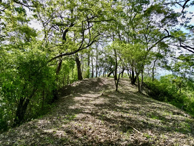 Land For Sale in Nosara, photo 2