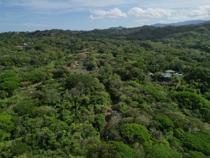 Land For Sale in Nosara, photo 4