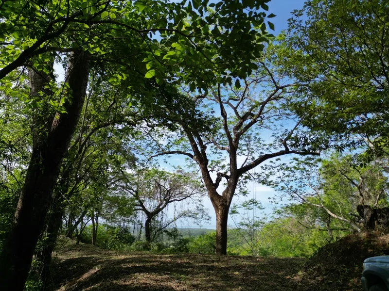 Land For Sale in Nosara, photo 6