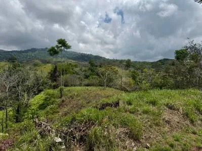 Terreno con vista a la montaña en una codiciada comunidad cerrada, privada y de fácil acceso., photo 5
