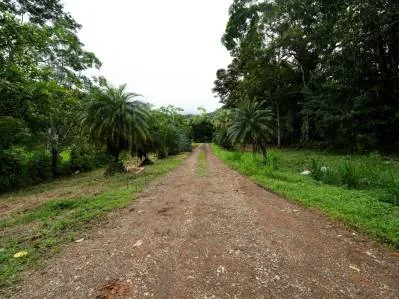 Caracara Ridge lote n.° 2, vistas a la montaña, 1 acre, photo 3
