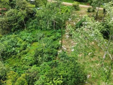 Caracara Ridge lote n.° 2, vistas a la montaña, 1 acre, photo 5
