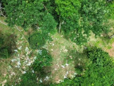 Caracara Ridge lote n.° 2, vistas a la montaña, 1 acre, photo 6