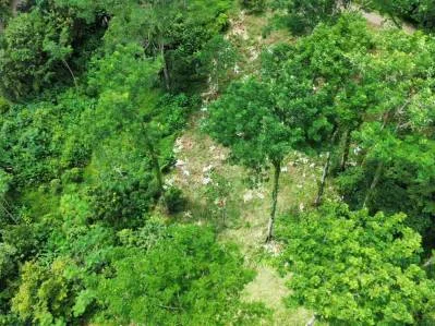 Caracara Ridge lote n.° 2, vistas a la montaña, 1 acre, photo 7