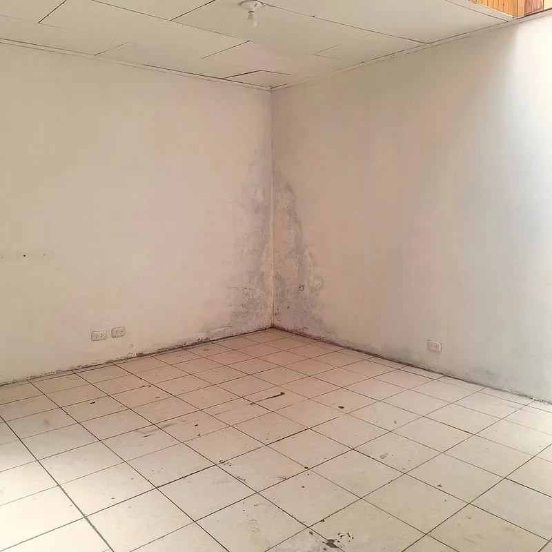 ¿Busca la ubicación ideal para potenciar y hacer crecer su negocio? Este excepcional local comercial se encuentra estratégicamente posicionado sobre la arteria vial principal del ..., photo 8