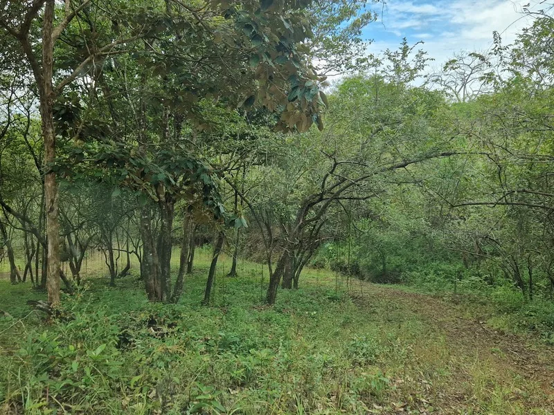 Land For Sale in Punta Islita Pacific, photo 2
